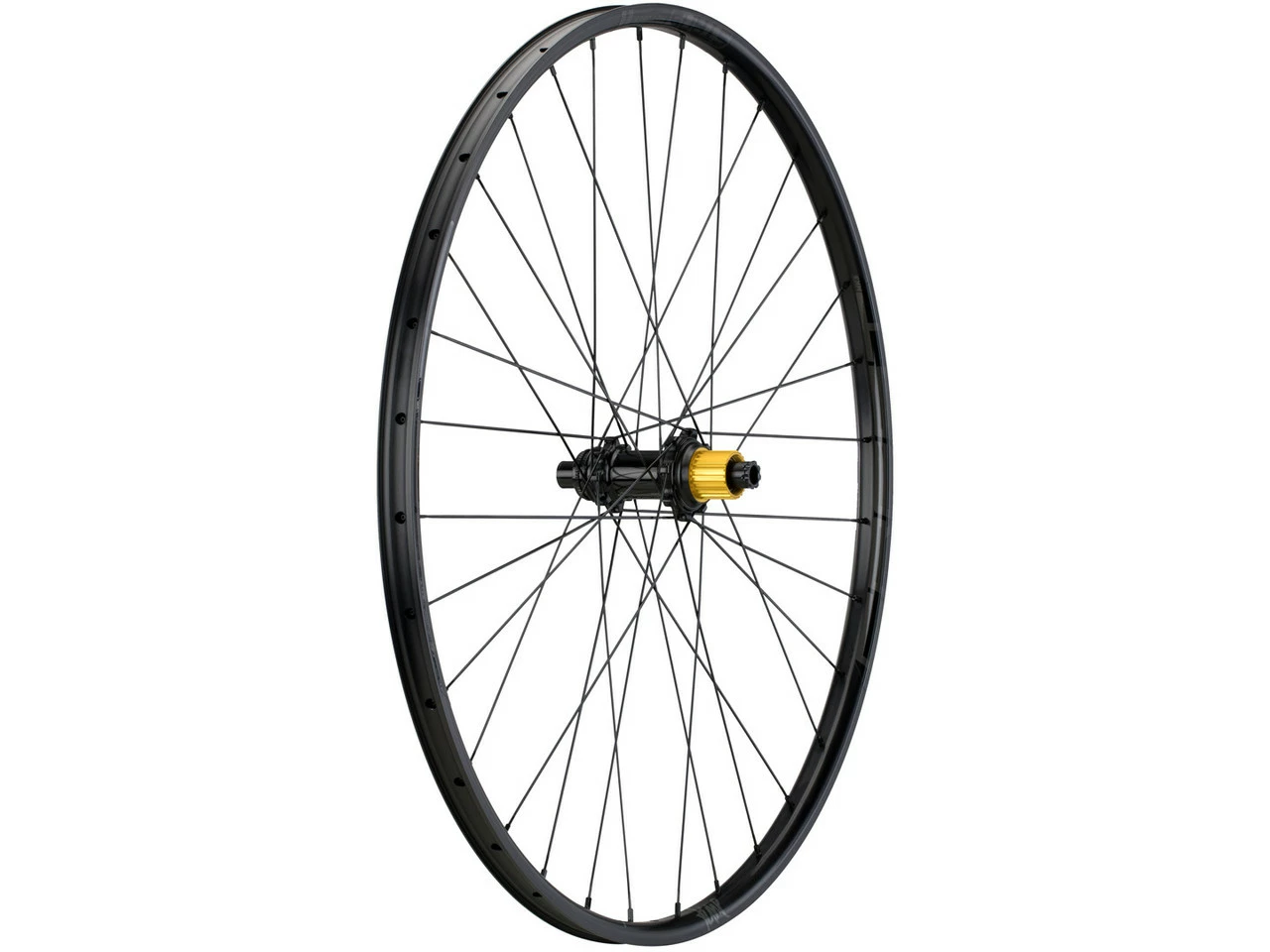 Tune Race 23 Endurance Boost Disc Center Lock 29" Laufradsatz 4 Tune Race 23 Endurance Boost Disc Center Lock 29" Laufradsatz – Bild 4