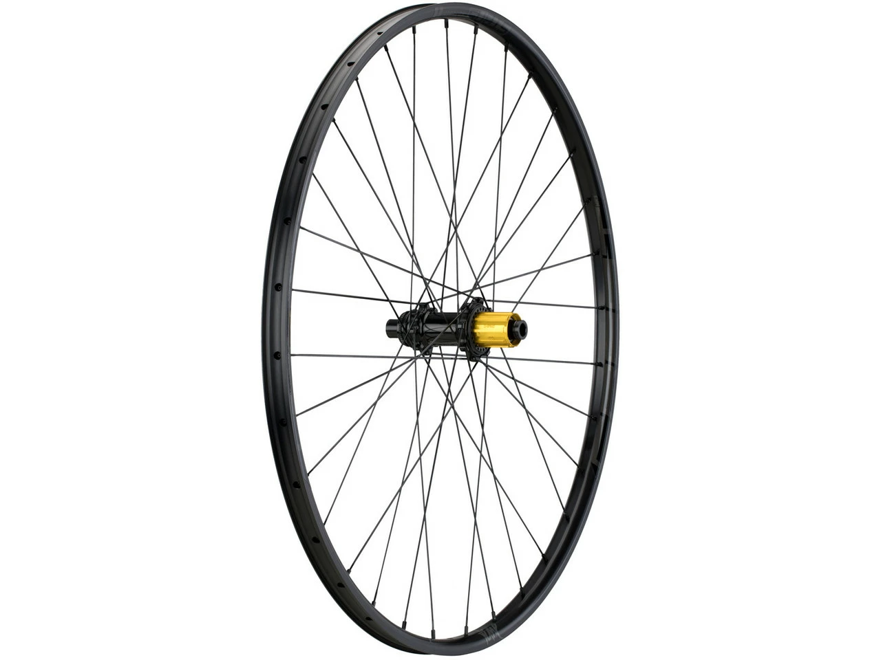 Tune Race 23 Endurance Boost Disc Center Lock 29" Laufradsatz 10 Tune Race 23 Endurance Boost Disc Center Lock 29" Laufradsatz – Bild 10