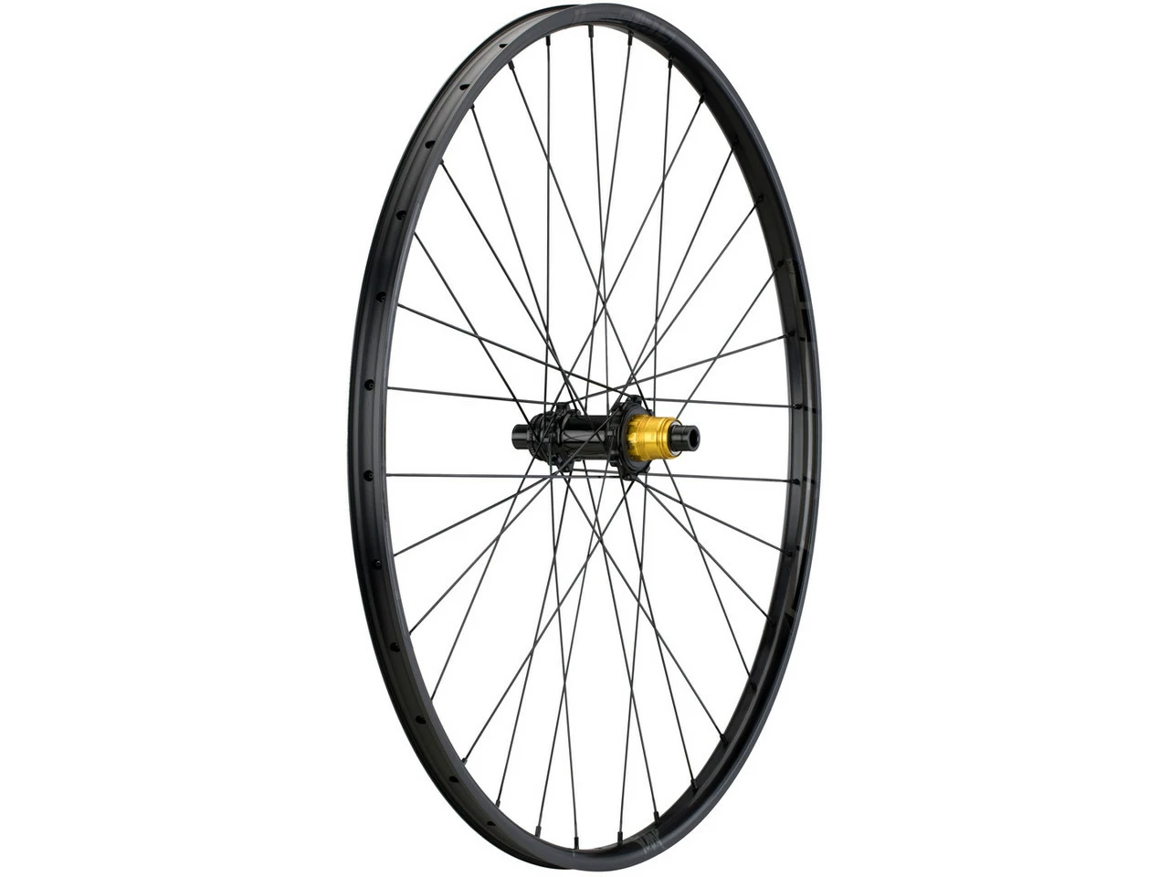 Tune Race 23 Endurance Boost Disc Center Lock 29" Laufradsatz 17 Tune Race 23 Endurance Boost Disc Center Lock 29" Laufradsatz – Bild 17
