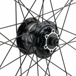 Bc Basic Mountain Alivio Disc 6-Loch DT Swiss 466d 29" Laufradsatz -Angebote Mavic Store 399626