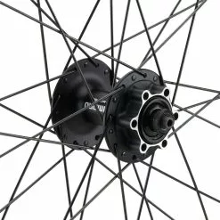 Bc Basic Mountain Alivio Disc 6-Loch DT Swiss 466d 29" Laufradsatz -Angebote Mavic Store 399633