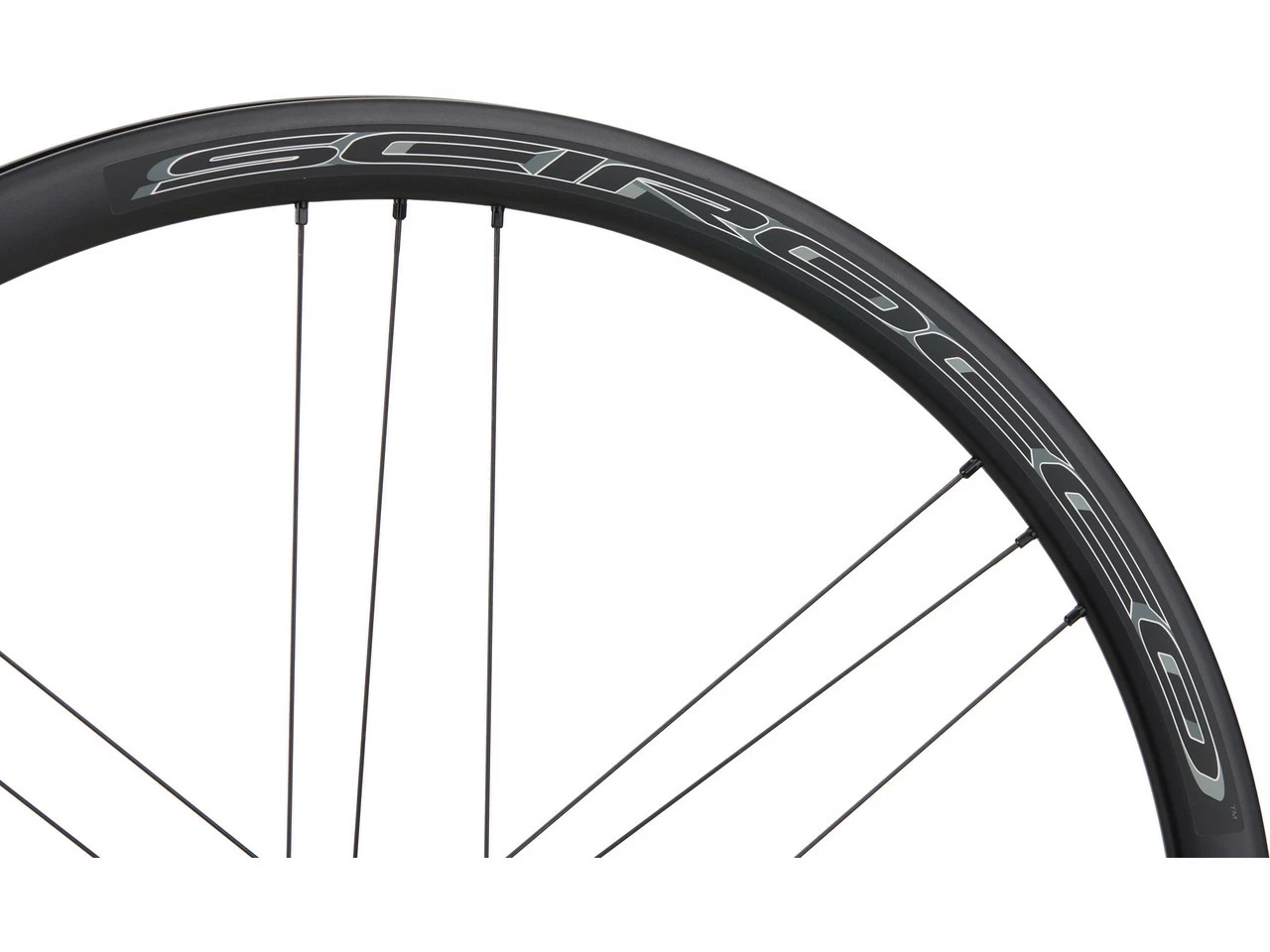 Campagnolo® Scirocco DB Disc Center Lock Laufradsatz 6 Campagnolo® Scirocco DB Disc Center Lock Laufradsatz – Bild 6